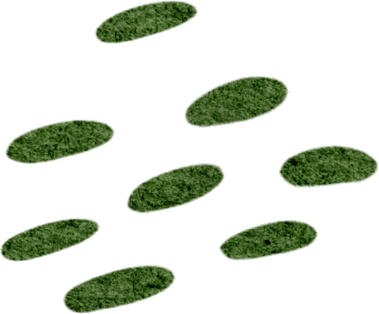 湖南醇厚的恩施富硒茶(湖南恩施富硒茶的功效)-硒宝网