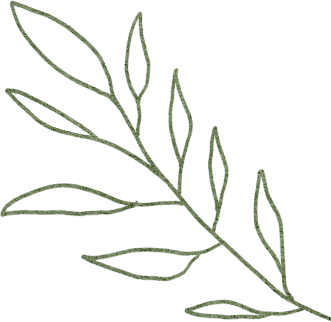 湖南醇厚的恩施富硒茶(湖南恩施富硒茶的功效)-硒宝网