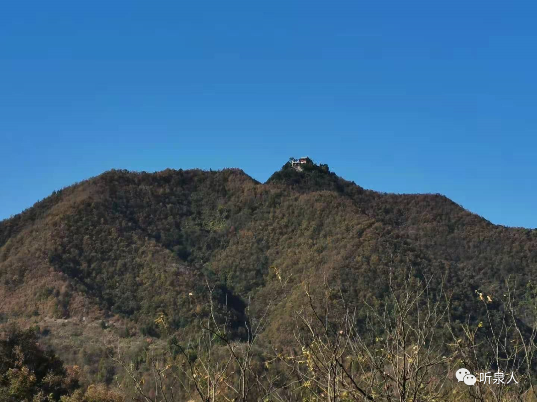 紫阳富硒茶基地在哪里(紫阳富硒茶产区)-硒宝网