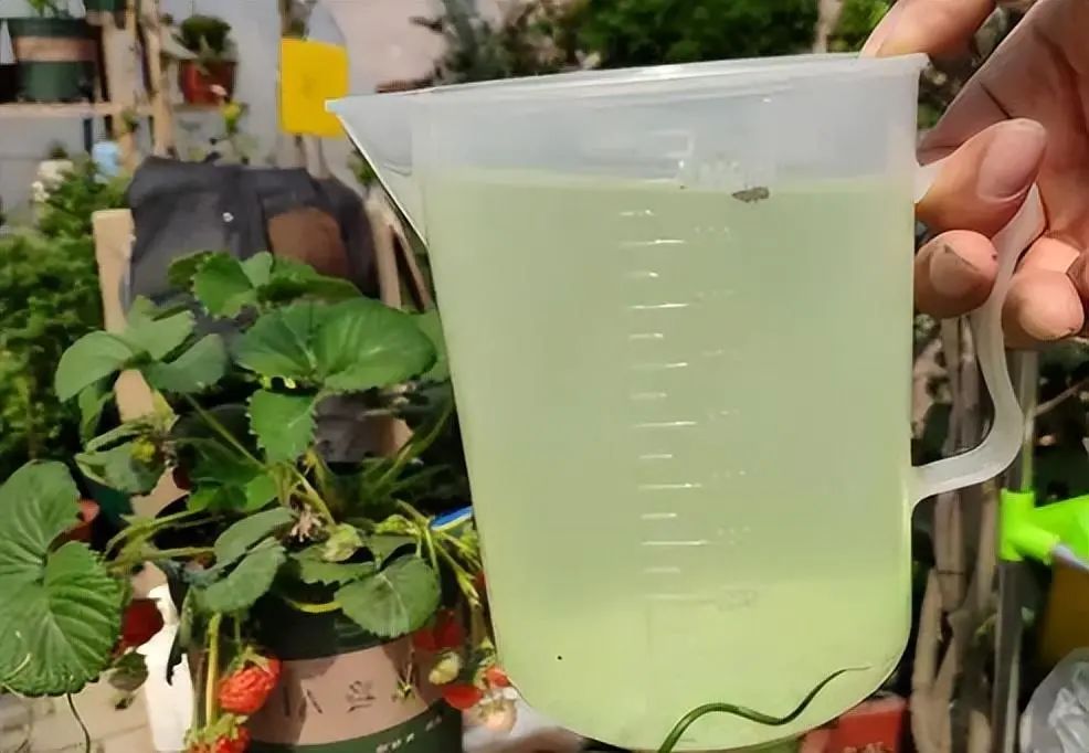 补铁副作用(补铁副作用)-硒宝网