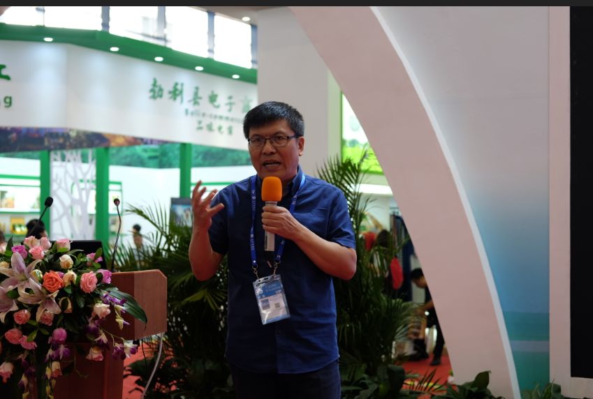 紫阳富硒茶基地在哪里（紫阳富硒茶文化）-硒宝网