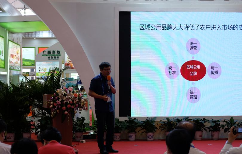 紫阳富硒茶基地在哪里（紫阳富硒茶文化）-硒宝网