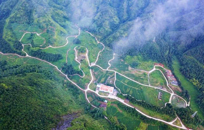 湖南郴郴州汝城富硒茶(汝城硒香茶是绿茶吗)-硒宝网