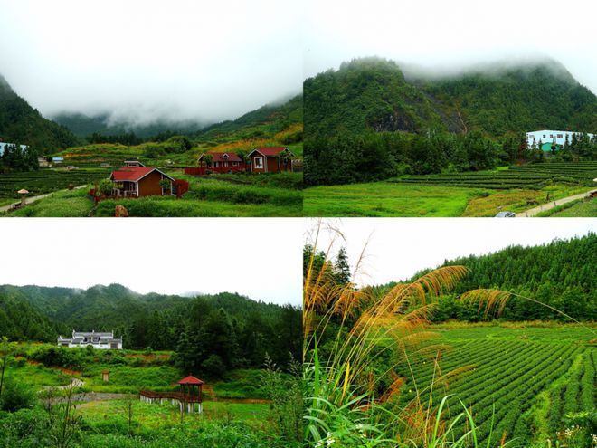 湖南郴郴州汝城富硒茶(汝城硒香茶是绿茶吗)-硒宝网