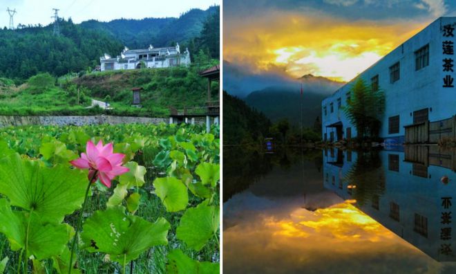 湖南郴郴州汝城富硒茶(汝城硒香茶是绿茶吗)-硒宝网