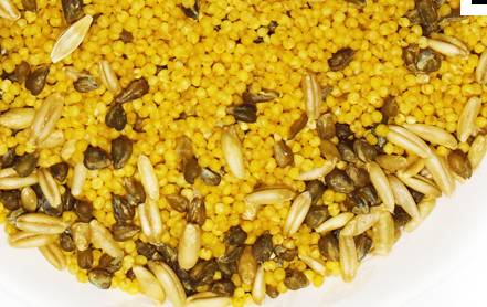 男性补锌吃什么药最好(男的吃补锌药期间能要孩子么)-硒宝网