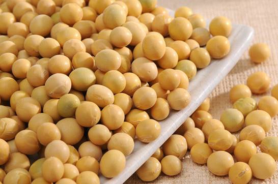 男性补锌吃什么药最好(男的吃补锌药期间能要孩子么)-硒宝网