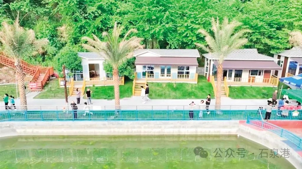 峰富硒茶种植示范基地（富硒茶树）-硒宝网