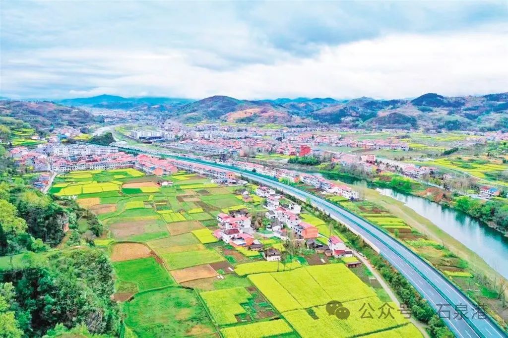 峰富硒茶种植示范基地（富硒茶树）-硒宝网