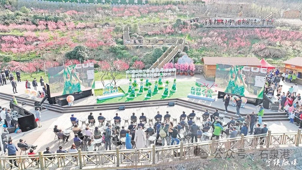 峰富硒茶种植示范基地（富硒茶树）-硒宝网