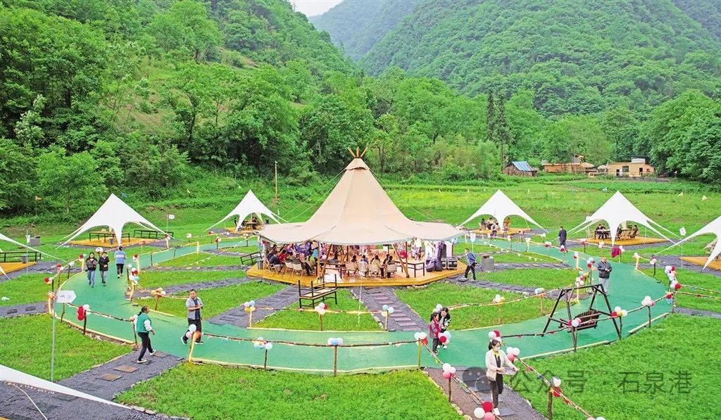 峰富硒茶种植示范基地（富硒茶树）-硒宝网