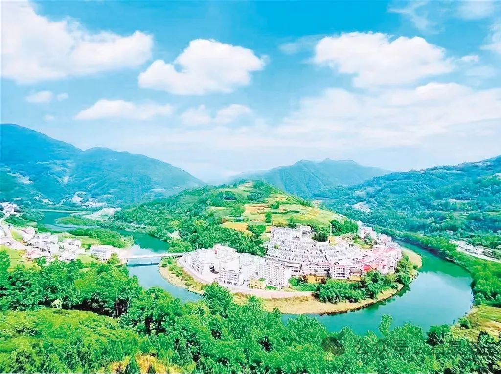 峰富硒茶种植示范基地（富硒茶树）-硒宝网