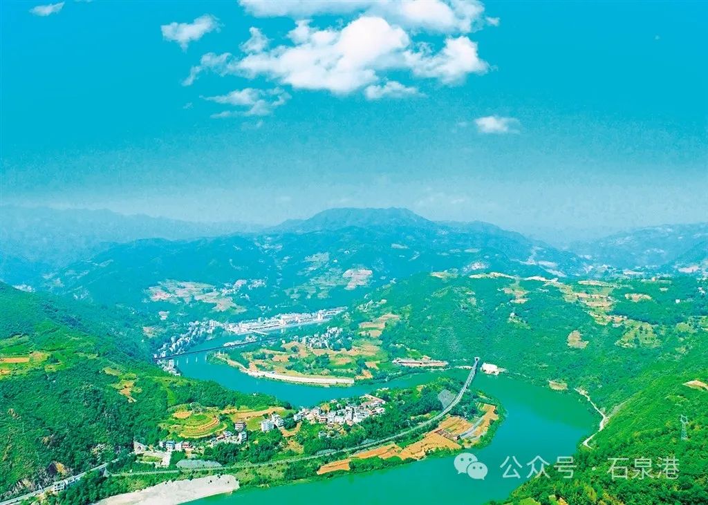 峰富硒茶种植示范基地（富硒茶树）-硒宝网