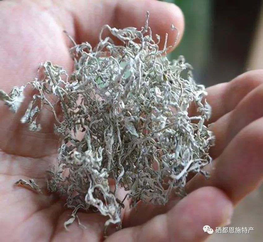 恩施富硒藤茶饮用方法(恩施富硒藤茶的功效与作用)-硒宝网