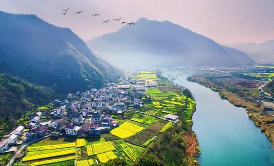 石台富硒茶有什么品牌(茶石台富硒品牌有几种)-硒宝网