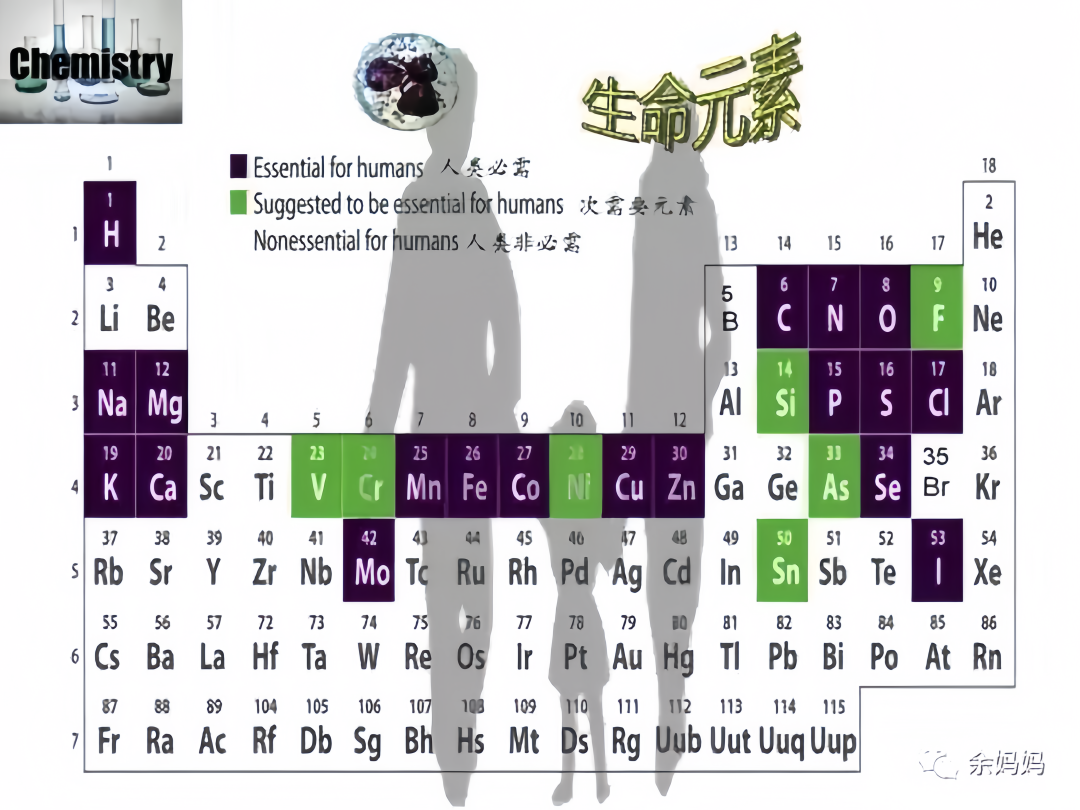 微量元素能检查出什么（微量元素检查出结果要多久）-硒宝网
