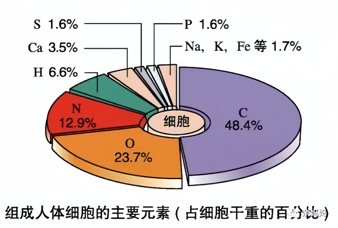 微量元素能检查出什么（微量元素检查出结果要多久）-硒宝网