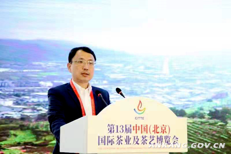 紫阳富硒茶什么香味好（香味茶紫阳富硒好喝吗）-硒宝网