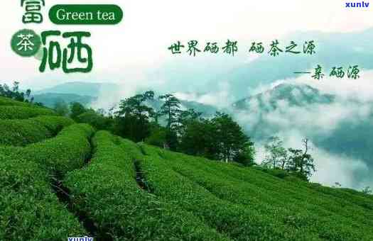 湖北好喝的富硒茶玉露(玉露富硒茶多少钱)-硒宝网