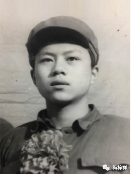 赞美紫阳富硒茶的句子（形容紫阳富硒茶的句子）-硒宝网