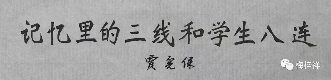 赞美紫阳富硒茶的句子（形容紫阳富硒茶的句子）-硒宝网