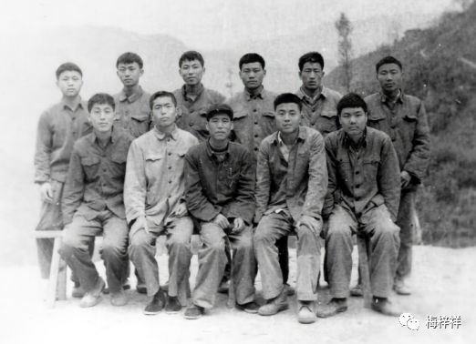 赞美紫阳富硒茶的句子（形容紫阳富硒茶的句子）-硒宝网