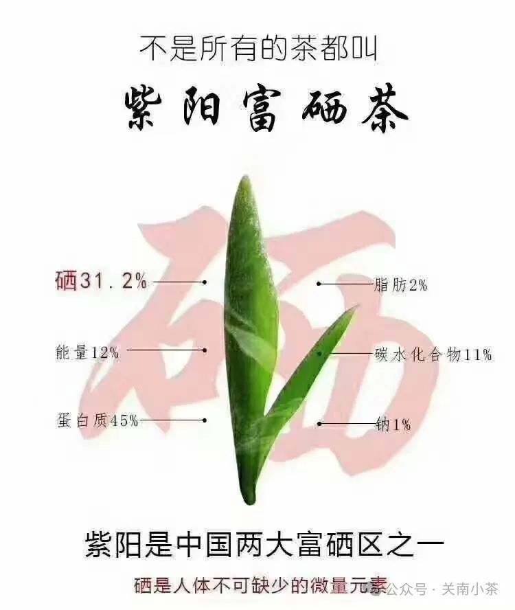 紫阳毛尖就是富硒茶吗（紫阳毛尖含硒量多少）-硒宝网