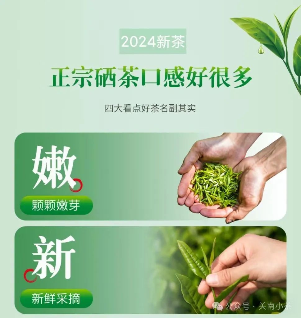 紫阳毛尖就是富硒茶吗（紫阳毛尖含硒量多少）-硒宝网