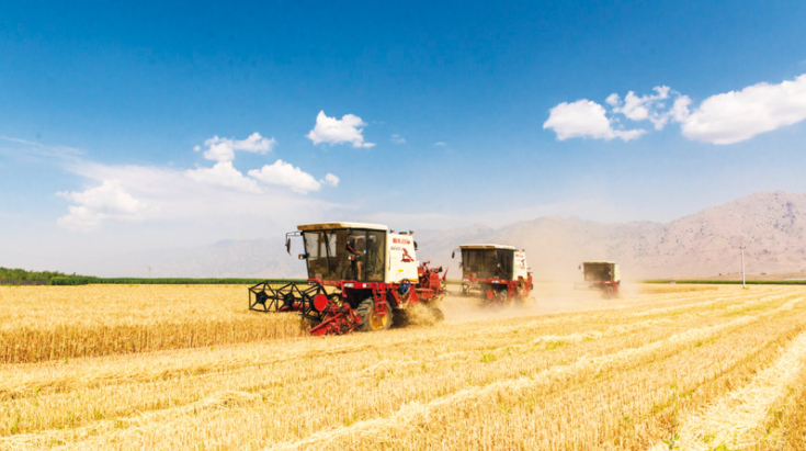 富硒茶的市场背景分析(可口可乐市场背景分析)-硒宝网