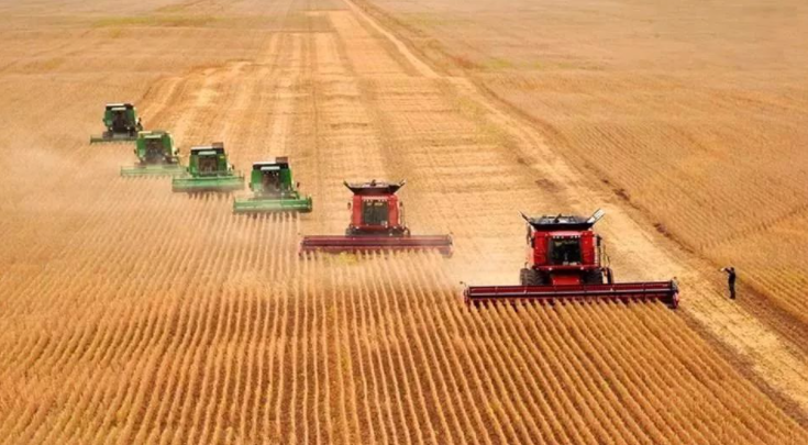 富硒茶的市场背景分析(可口可乐市场背景分析)-硒宝网