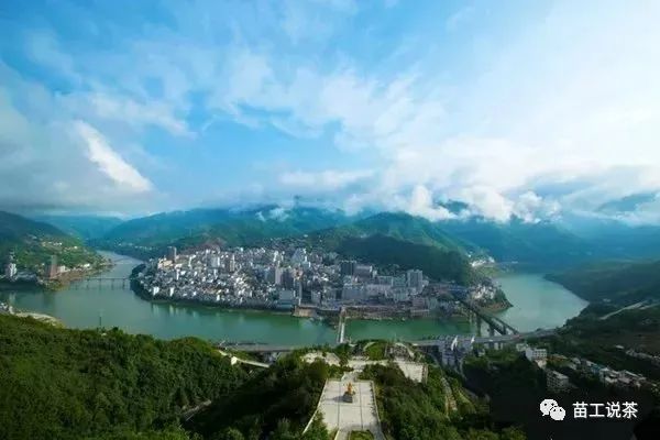 紫阳毛尖就是富硒茶吗(富硒毛尖价格)-硒宝网