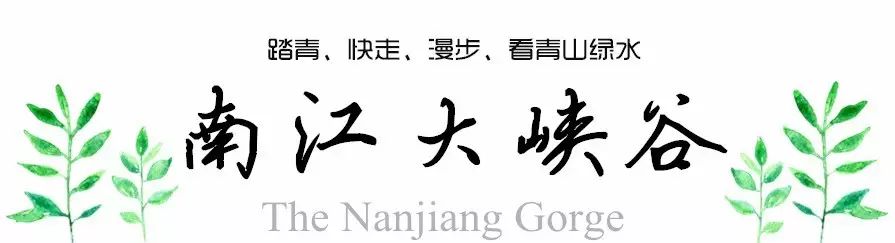 贵阳富硒茶可以减肥吗（硒减肥）-硒宝网