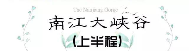 贵阳富硒茶可以减肥吗（硒减肥）-硒宝网