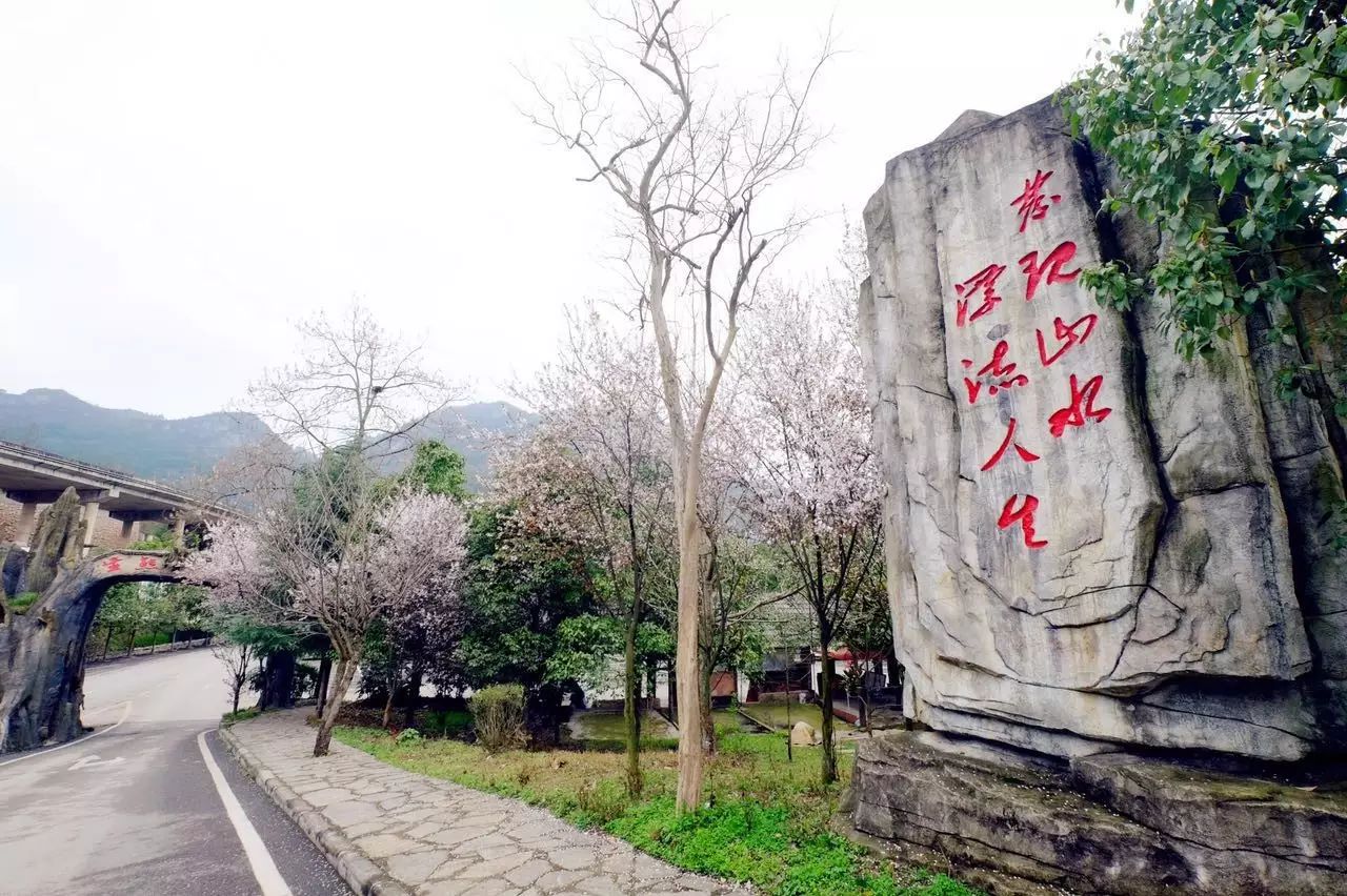 贵阳富硒茶可以减肥吗（硒减肥）-硒宝网