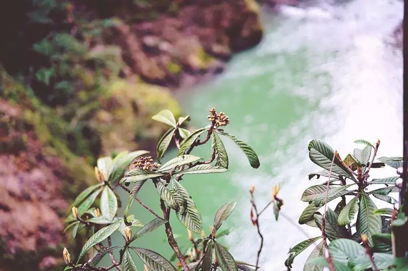 贵阳富硒茶可以减肥吗（硒减肥）-硒宝网