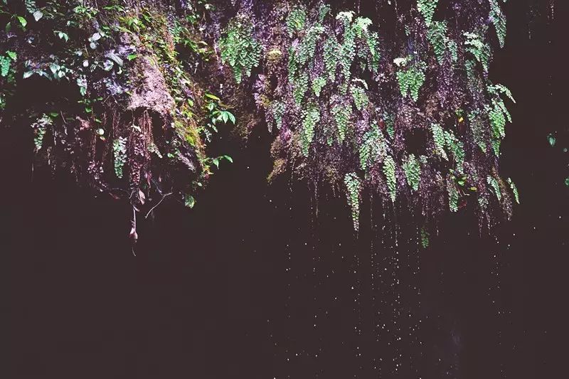 贵阳富硒茶可以减肥吗（硒减肥）-硒宝网