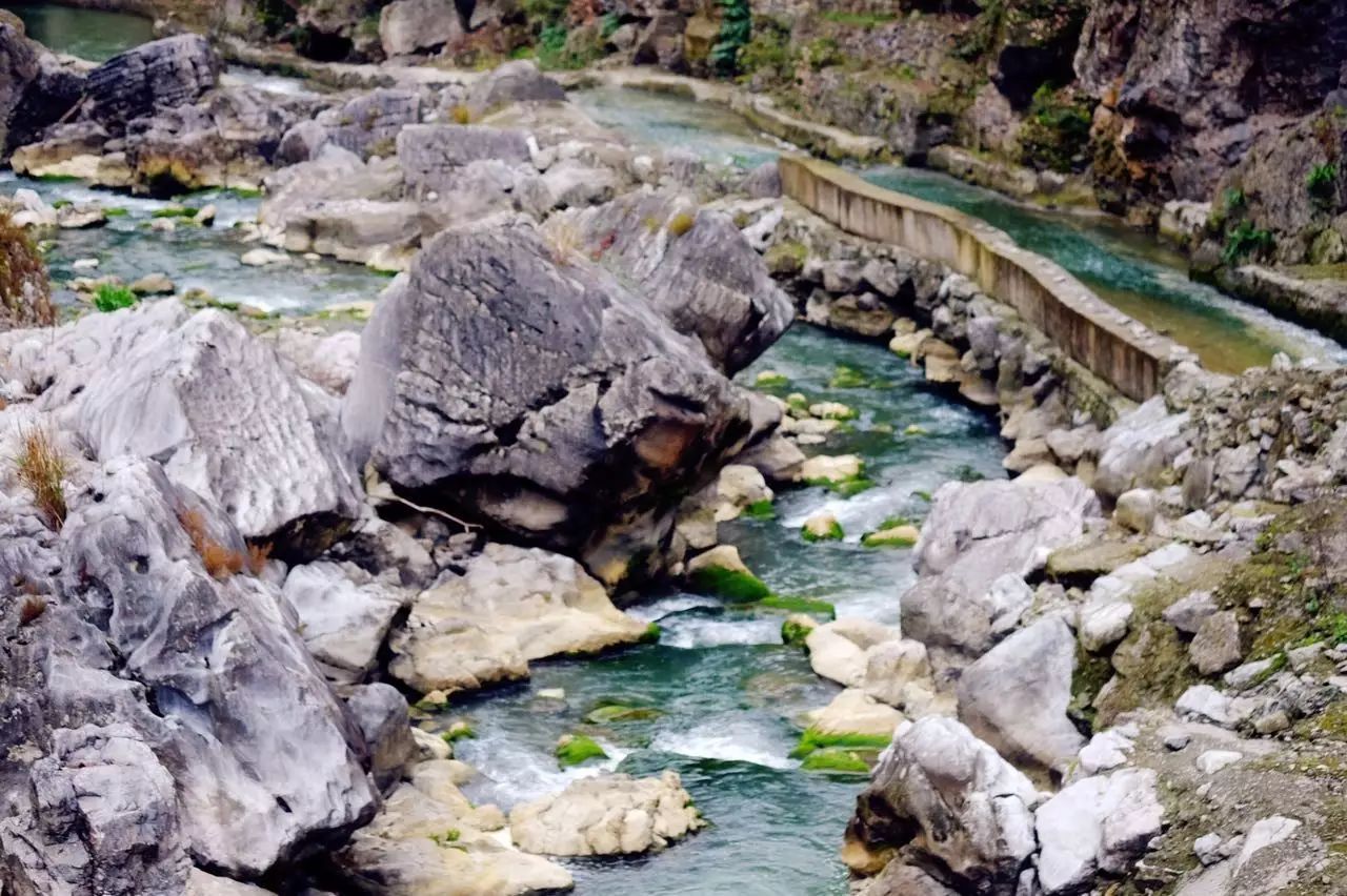 贵阳富硒茶可以减肥吗（硒减肥）-硒宝网