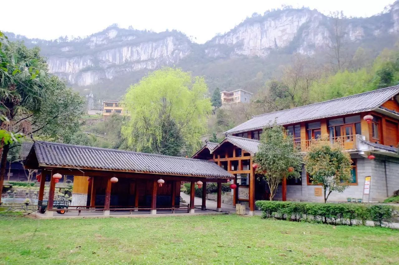 贵阳富硒茶可以减肥吗（硒减肥）-硒宝网