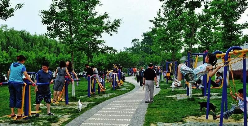 贵阳富硒茶可以减肥吗（硒减肥）-硒宝网