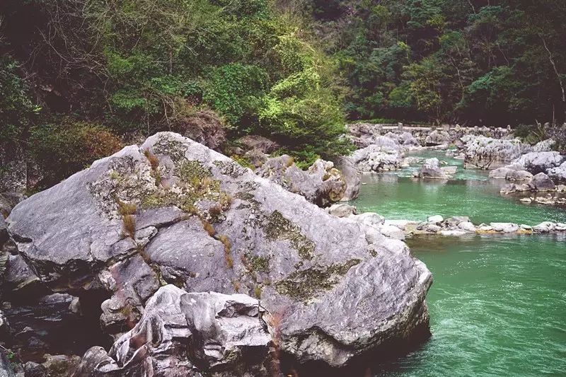 贵阳富硒茶可以减肥吗（硒减肥）-硒宝网