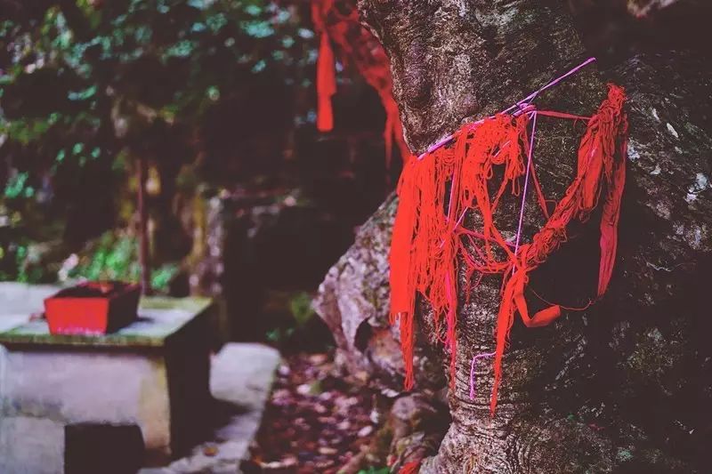 贵阳富硒茶可以减肥吗（硒减肥）-硒宝网