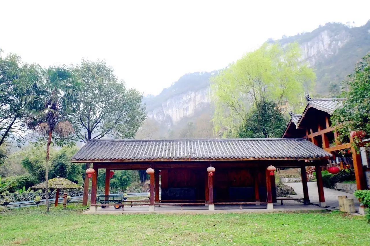 贵阳富硒茶可以减肥吗（硒减肥）-硒宝网