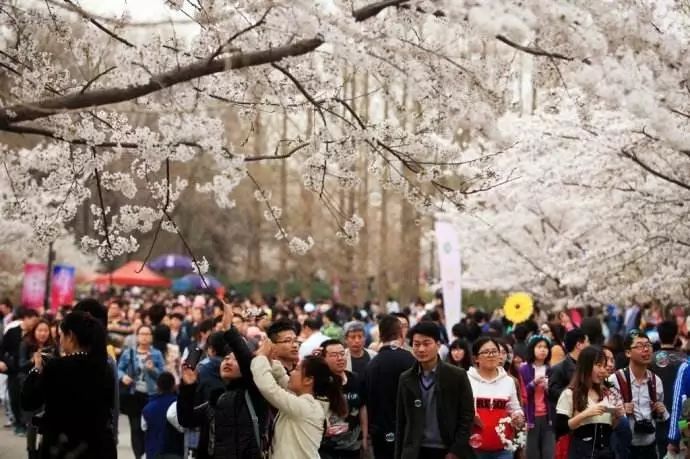 贵阳富硒茶可以减肥吗（硒减肥）-硒宝网