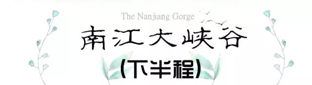 贵阳富硒茶可以减肥吗（硒减肥）-硒宝网