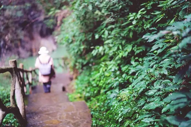 贵阳富硒茶可以减肥吗（硒减肥）-硒宝网