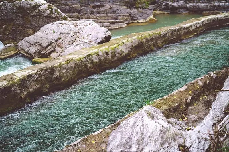 贵阳富硒茶可以减肥吗（硒减肥）-硒宝网
