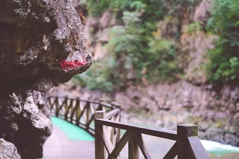 贵阳富硒茶可以减肥吗（硒减肥）-硒宝网