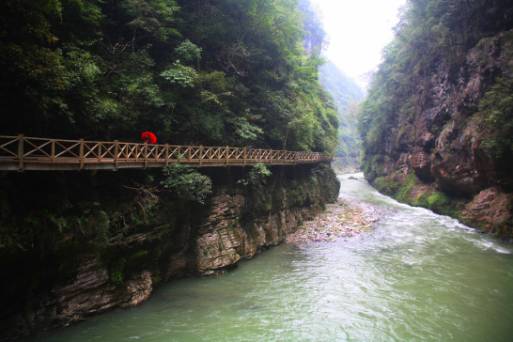 贵阳富硒茶可以减肥吗（硒减肥）-硒宝网
