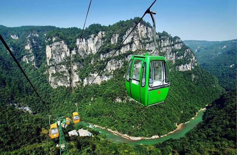 贵阳富硒茶可以减肥吗（硒减肥）-硒宝网