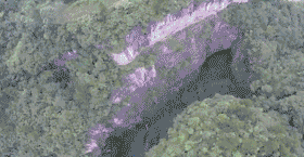 贵阳富硒茶可以减肥吗（硒减肥）-硒宝网